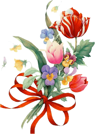 salut � tous le monde